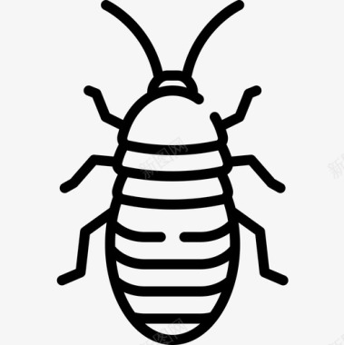 马达加斯加嘶嘶蟑螂昆虫23线状图标图标
