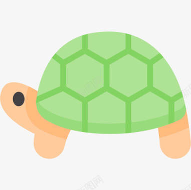 海龟动物54扁平图标图标