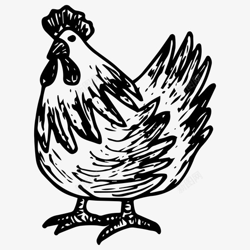 公鸡动物鸟图标svg_新图网 https://ixintu.com 公鸡 农场 动物 手绘 鸟