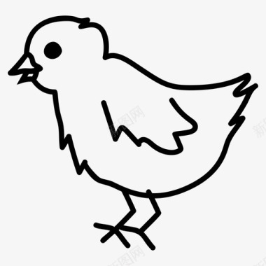 小鸡复活节小鸡农场鸟图标图标