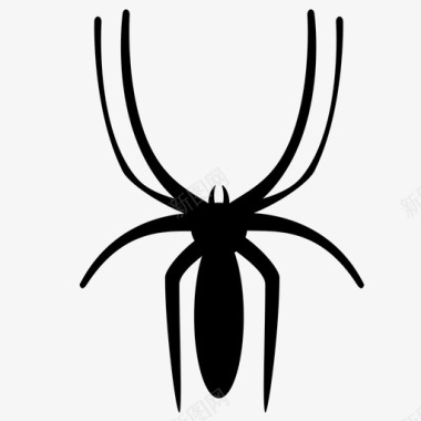 蜘蛛蜘蛛纲昆虫图标图标