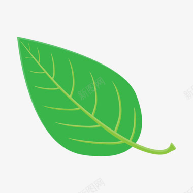 leaves图标