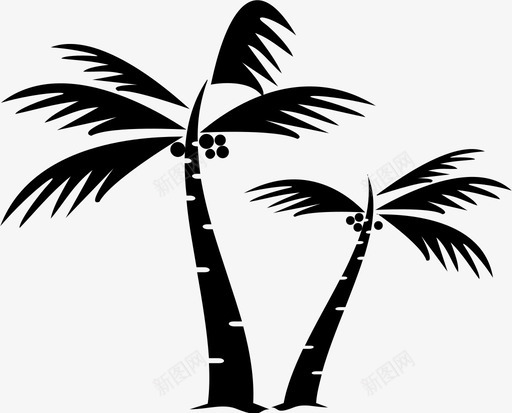 椰树海滩棕榈树图标svg_新图网 https://ixintu.com 棕榈树 椰树 海滩