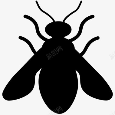 蜜蜂动物甲虫图标图标