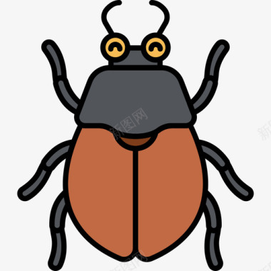甲虫动物27线形颜色图标图标