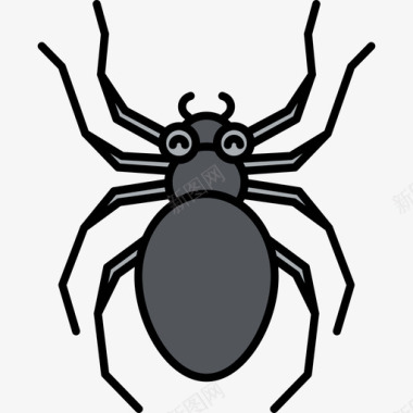 蜘蛛动物27线形颜色图标图标
