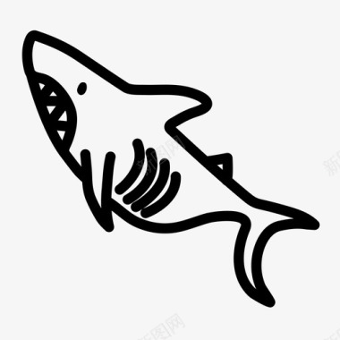 鲨鱼大白鲨海洋图标图标
