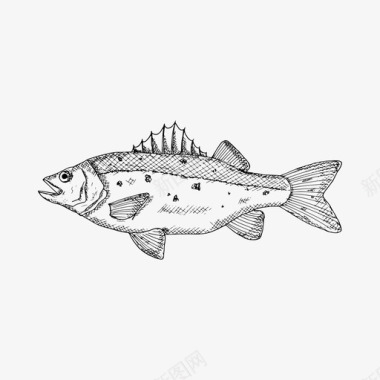 食物海鲜面素材鲈鱼食物手绘图标图标