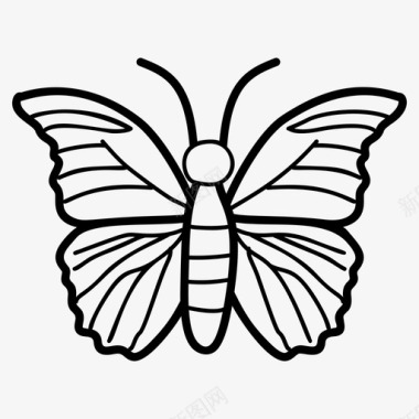 蝴蝶鸟昆虫图标图标