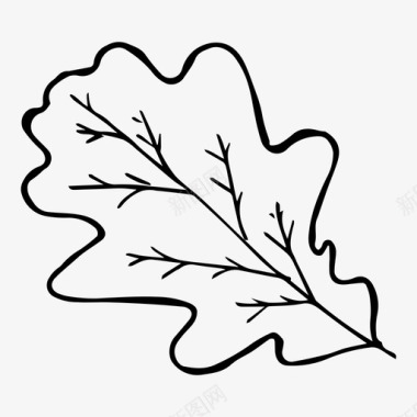 橡树叶秋天手工绘制图标图标