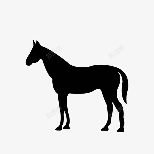 11 quiet horsesvg_新图网 https://ixintu.com 11 quiet horse