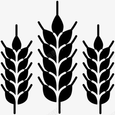 小麦农业园艺图标图标