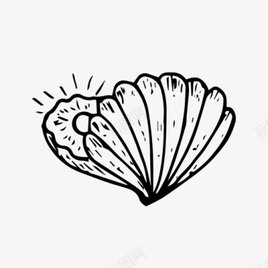 贝壳蛤蜊手工绘制图标图标