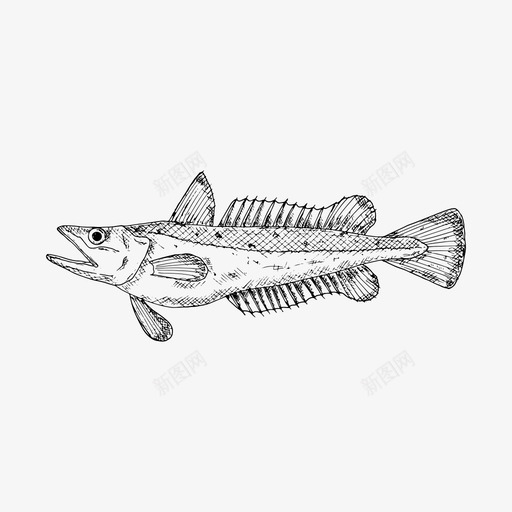 鳕鱼鱼食物图标svg_新图网 https://ixintu.com 海鲜 素描 食物 鱼 鳕鱼