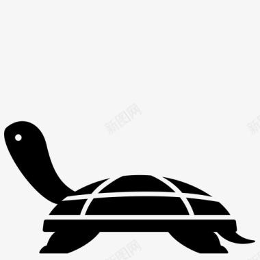 海龟两栖动物动物图标图标