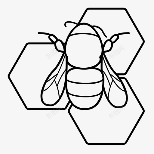 大黄蜂小虫苍蝇图标svg_新图网 https://ixintu.com 大黄蜂 小虫 昆虫 春天 苍蝇 蜂蜜