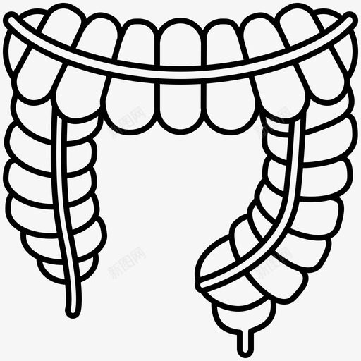 大肠肠结肠图标svg_新图网 https://ixintu.com 人体 器官 大肠 消化 结肠