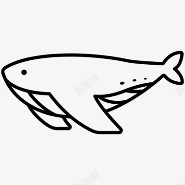 鲸鱼动物水生图标图标