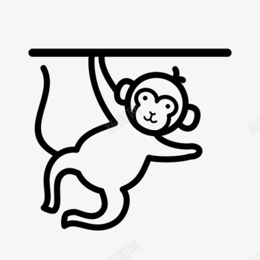猴子表演动物猿图标图标