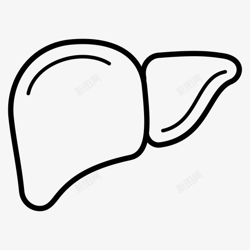肝脏人体医疗图标svg_新图网 https://ixintu.com 人体 医疗 器官 图标 线图 肝脏