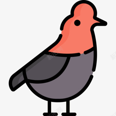 鸟秘鲁10线形颜色图标图标