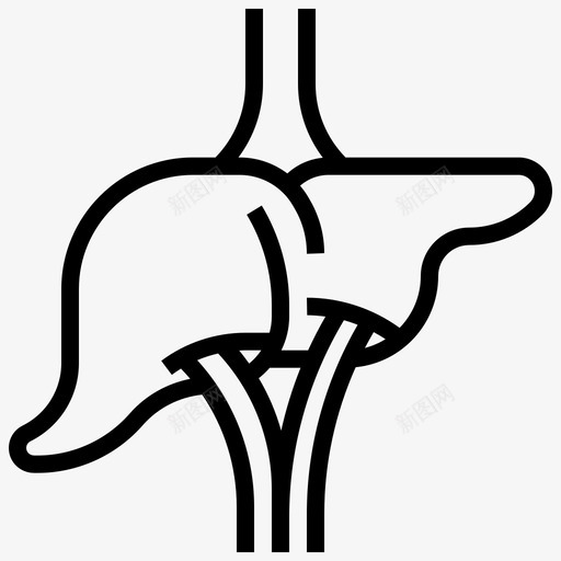 肝脏人体解剖学1线性图标svg_新图网 https://ixintu.com 人体 线性 肝脏 解剖学