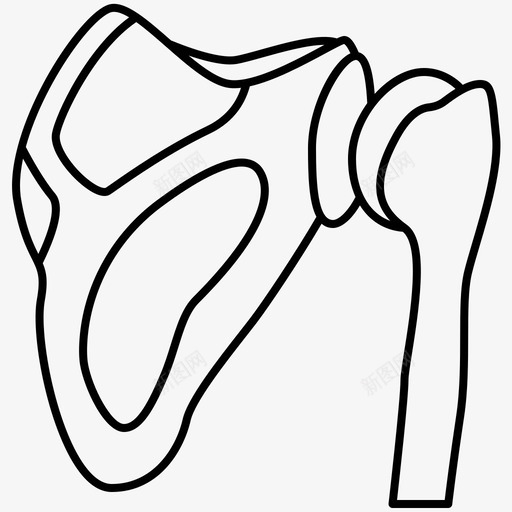 肩骨锁骨关节图标svg_新图网 https://ixintu.com 人体器官线 关节 肩骨 锁骨 骨骼