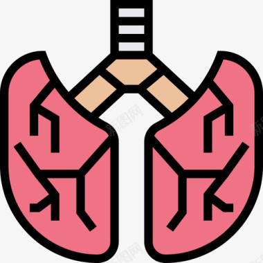 肺人体器官6线状颜色图标图标