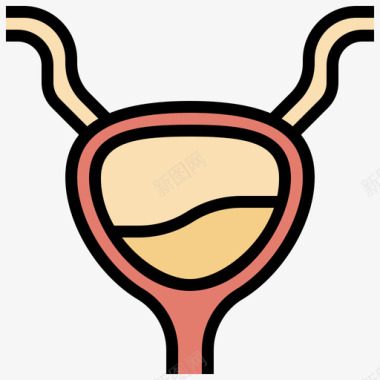 膀胱人体解剖学5线颜色图标图标