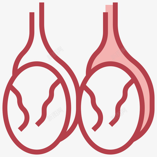 睾丸人体解剖学2其他图标svg_新图网 https://ixintu.com 人体 其他 睾丸 解剖学