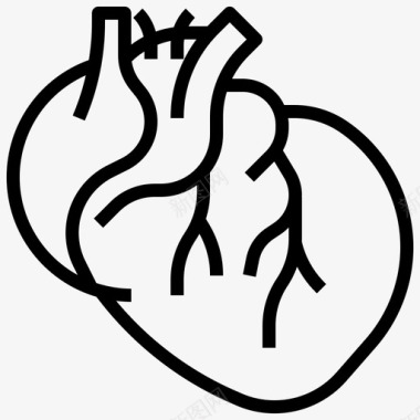 心脏人体解剖学1线性图标图标
