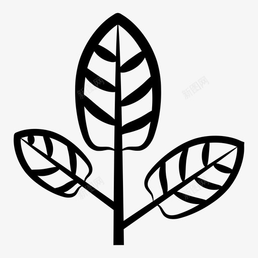 桔梗叶树枝草药图标图标免费下载 图标0jpjpavak 新图网 桔梗叶树枝草药图标图标免费下载 图标0jpjpavak 新图网