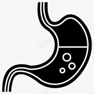胃解剖学消化图标图标