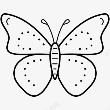 蝴蝶昆虫飞蛾图标图标
