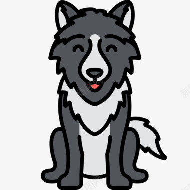 狼动物27线性颜色图标图标