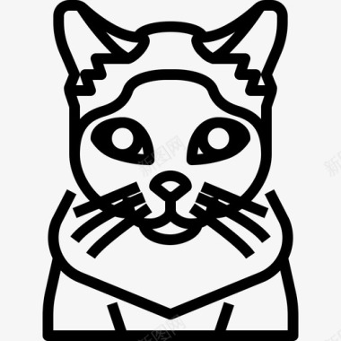 暹罗猫动物宠物图标图标
