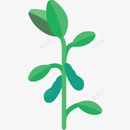 大豆植物3扁平图标svg_新图网 https://ixintu.com 大豆 扁平 植物3