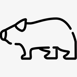 wombatWombatAustralia10线性图标高清图片