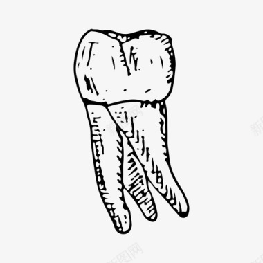 牙齿人类医学图标图标
