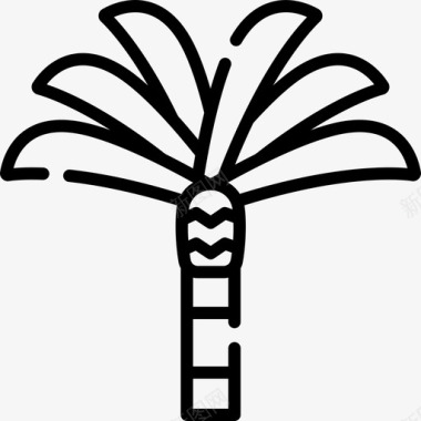 棕榈树埃及24线形图标图标