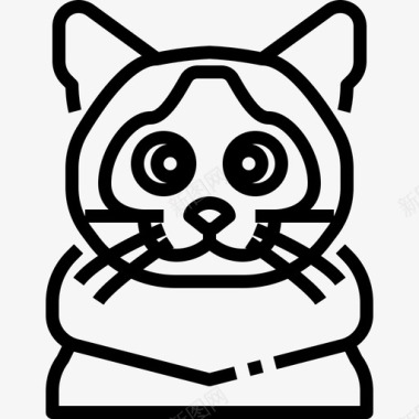 伯曼猫动物宠物图标图标
