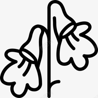 Gesneriad植物学线状图标图标