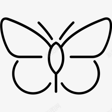 蝴蝶飞蛾翅膀图标图标