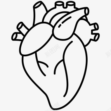 心脏主动脉血液图标图标