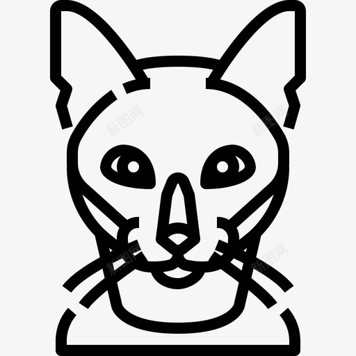 缅甸语动物猫图标svg_新图网 https://ixintu.com 动物 宠物 狗和猫 猫 缅甸语