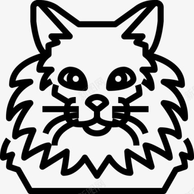 缅因浣熊动物猫图标图标
