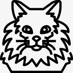 缅因浣熊缅因浣熊动物猫图标高清图片