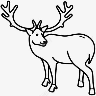 极地动物北极动物鹿图标图标