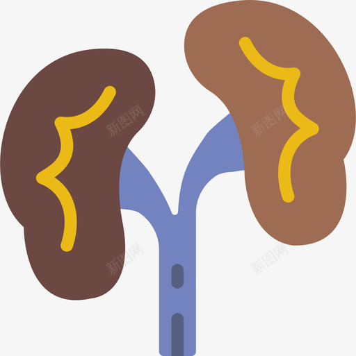 肾脏医用188扁平图标svg_新图网 https://ixintu.com 医用188 扁平 肾脏