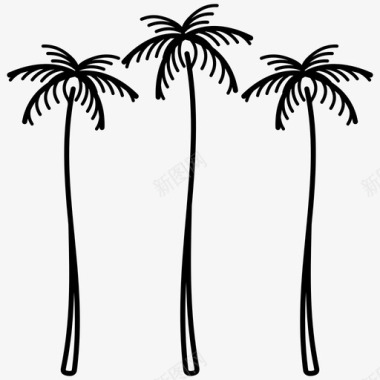 热带森林棕榈树高大的树木图标图标